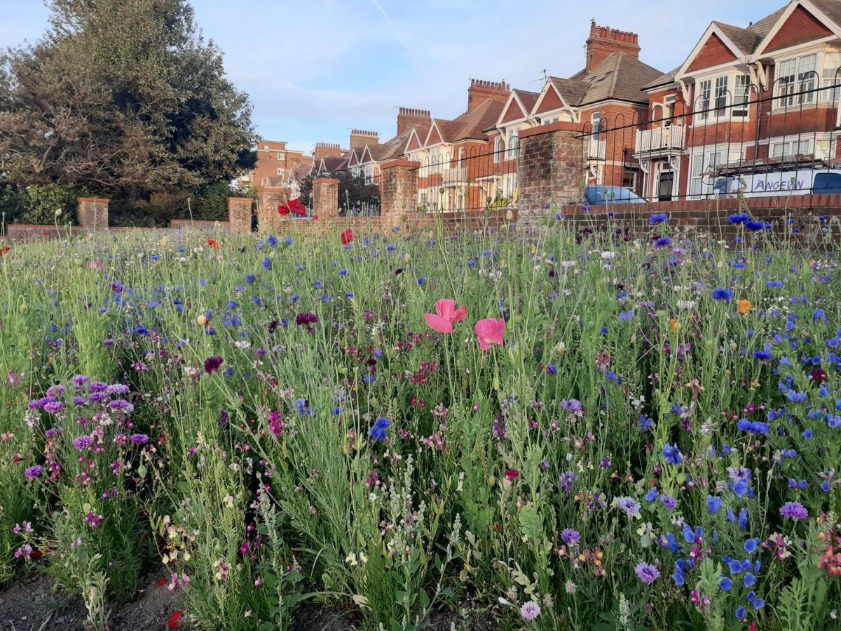Coastal Chic Bed and Breakfast Bexhill-on-Sea Exterior foto